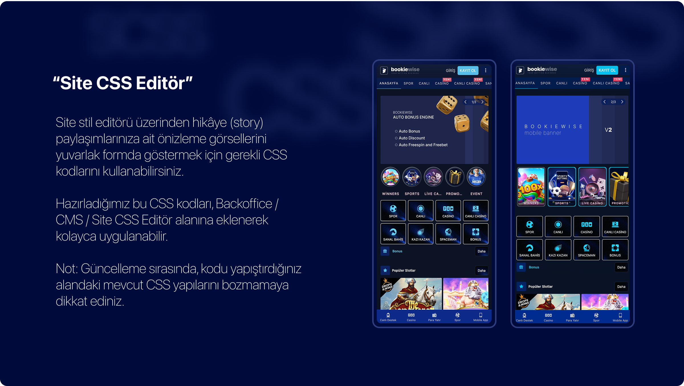 BookieWise Story - CSS customization for story display