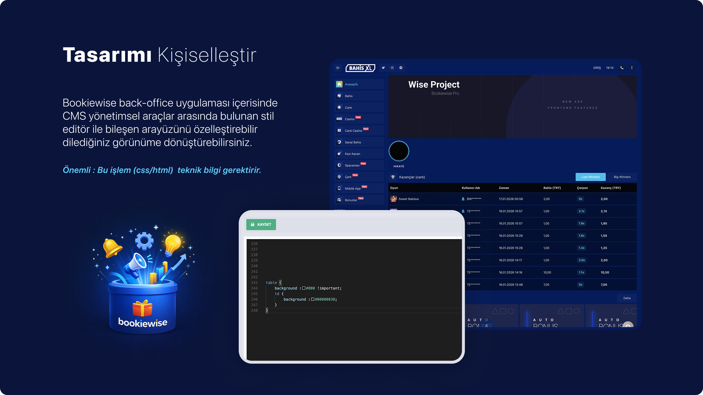 BookieWise Winners - Design customization via CSS
