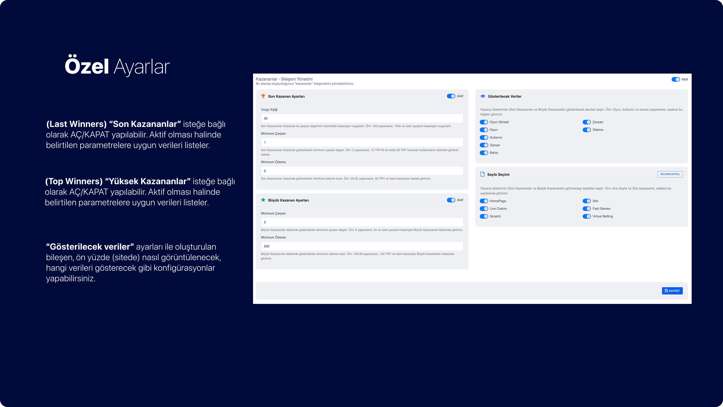 BookieWise Winners - Custom settings panel